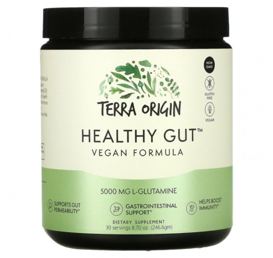 Terra Origin, Healthy Gut, веганская формула, 246,6 г