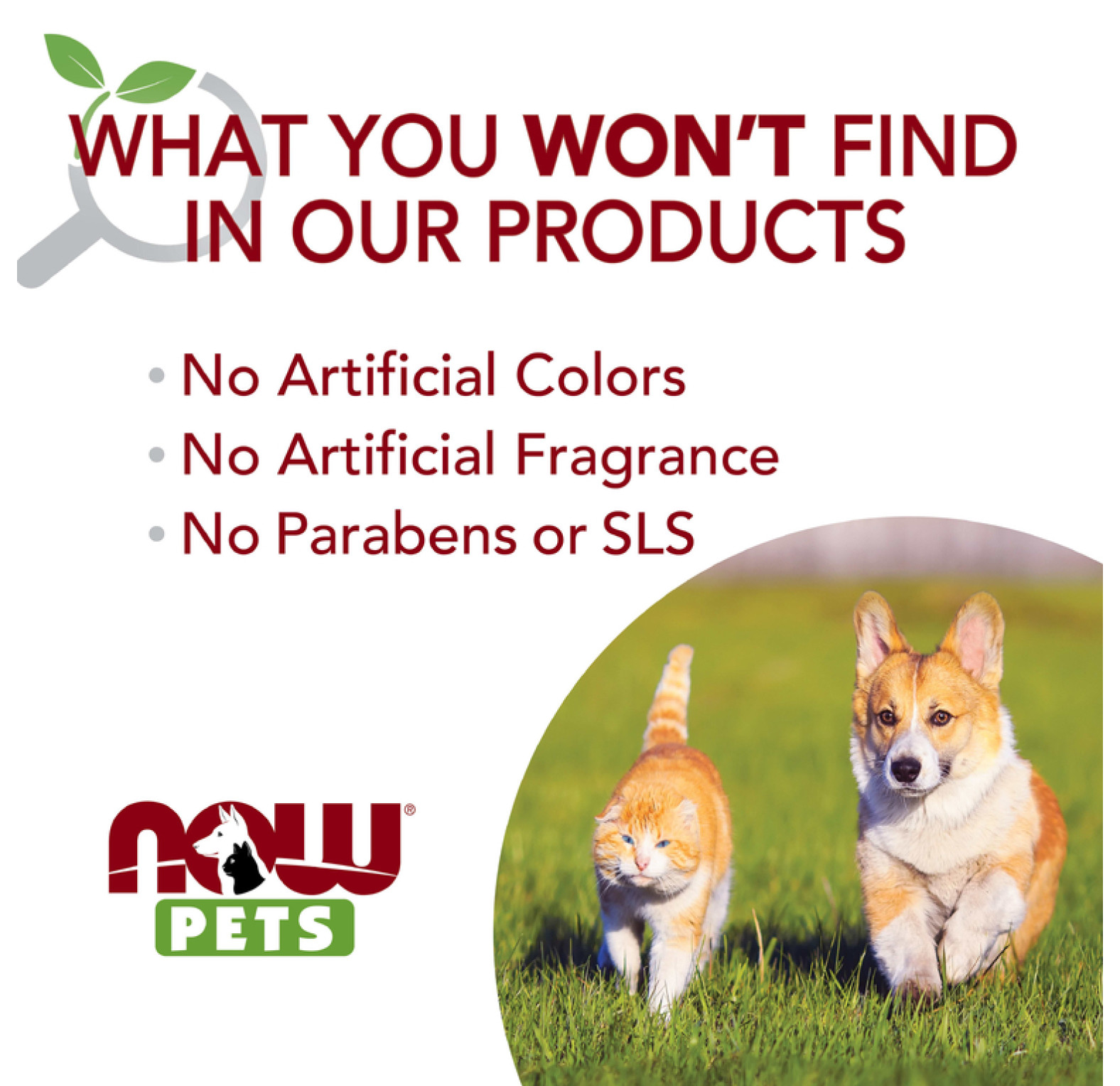 NOW Foods, Pets, спрей от блох и клещей для собак, 237 мл