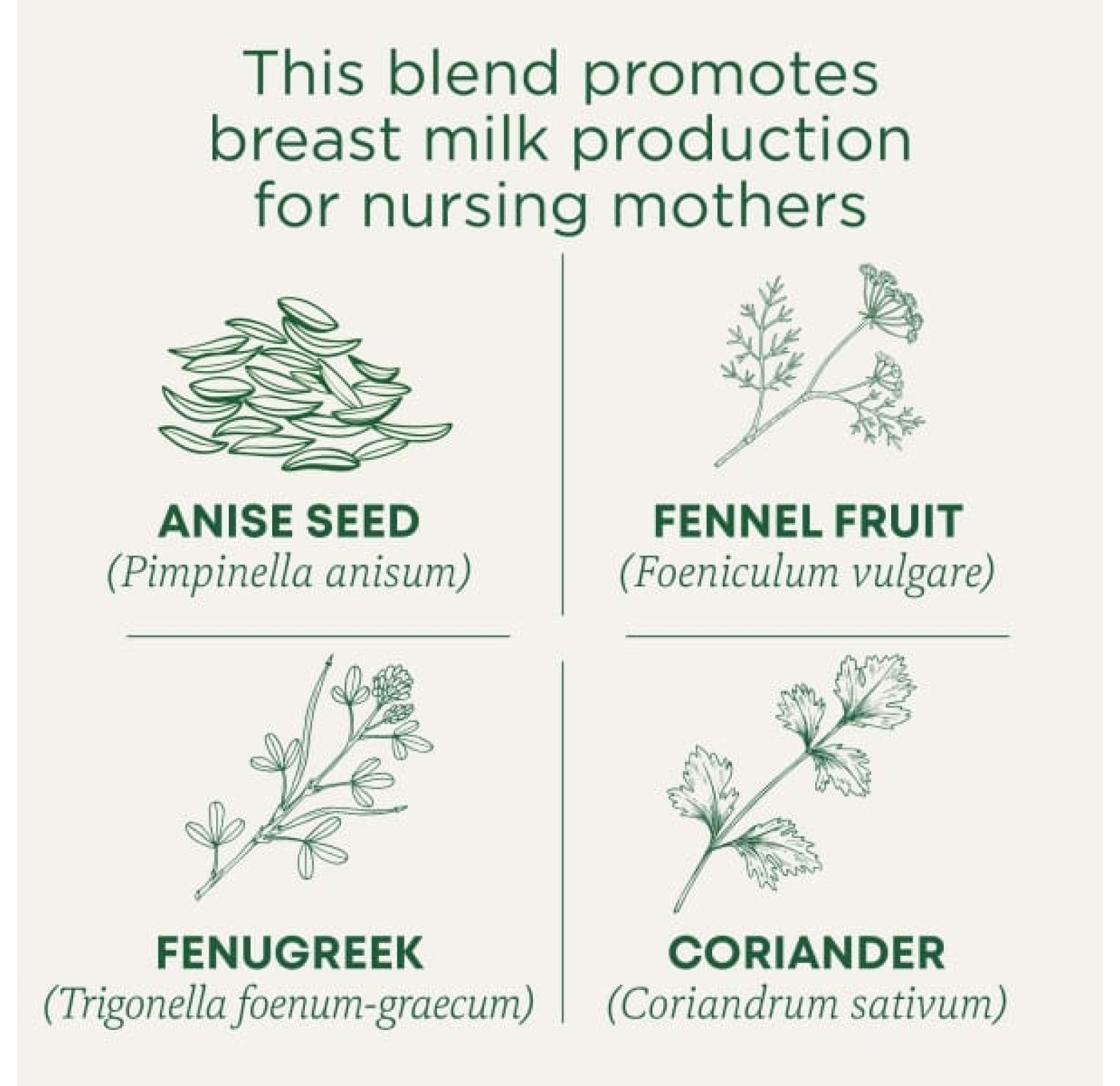 Traditional Medicinals, Organic Mother's Milk®, оригинальный продукт с фенхелем и пажитником, без кофеина, 16 чайных пакетиков, 28 г (0,99 унции)